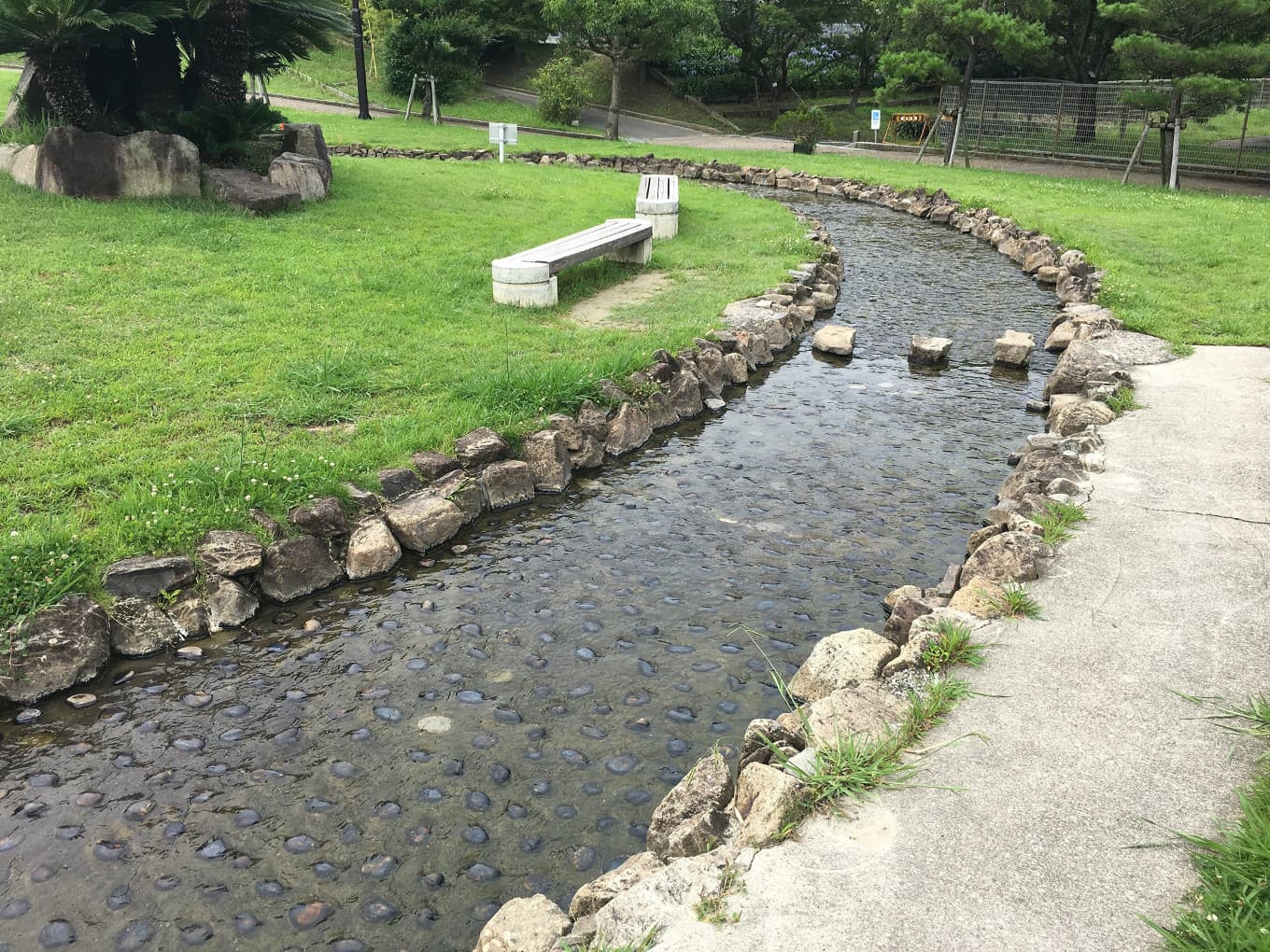 幼児が川遊びできる穴場的な公園 阿久比町立ふれあいの森